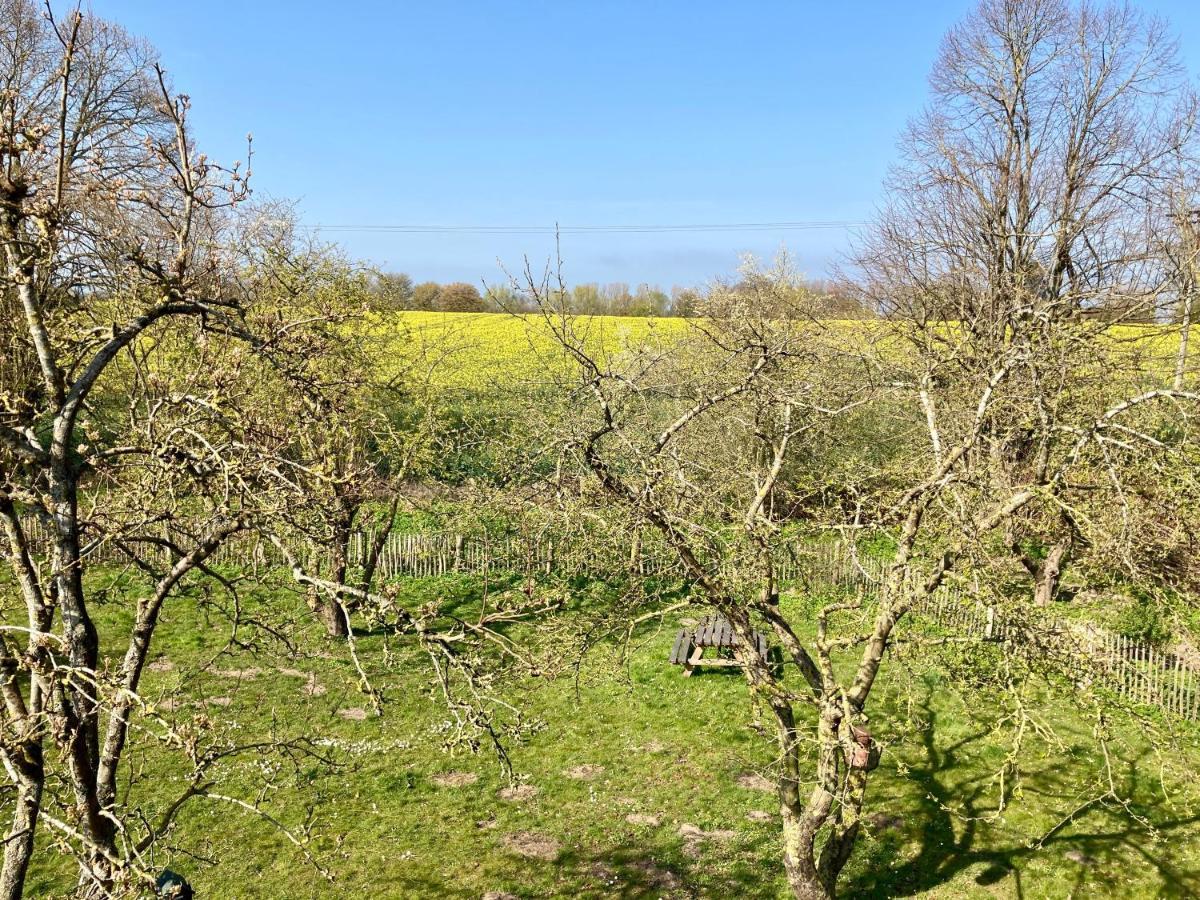 Urlaubsoase Ostsee Hohen Schoenberg Luaran gambar